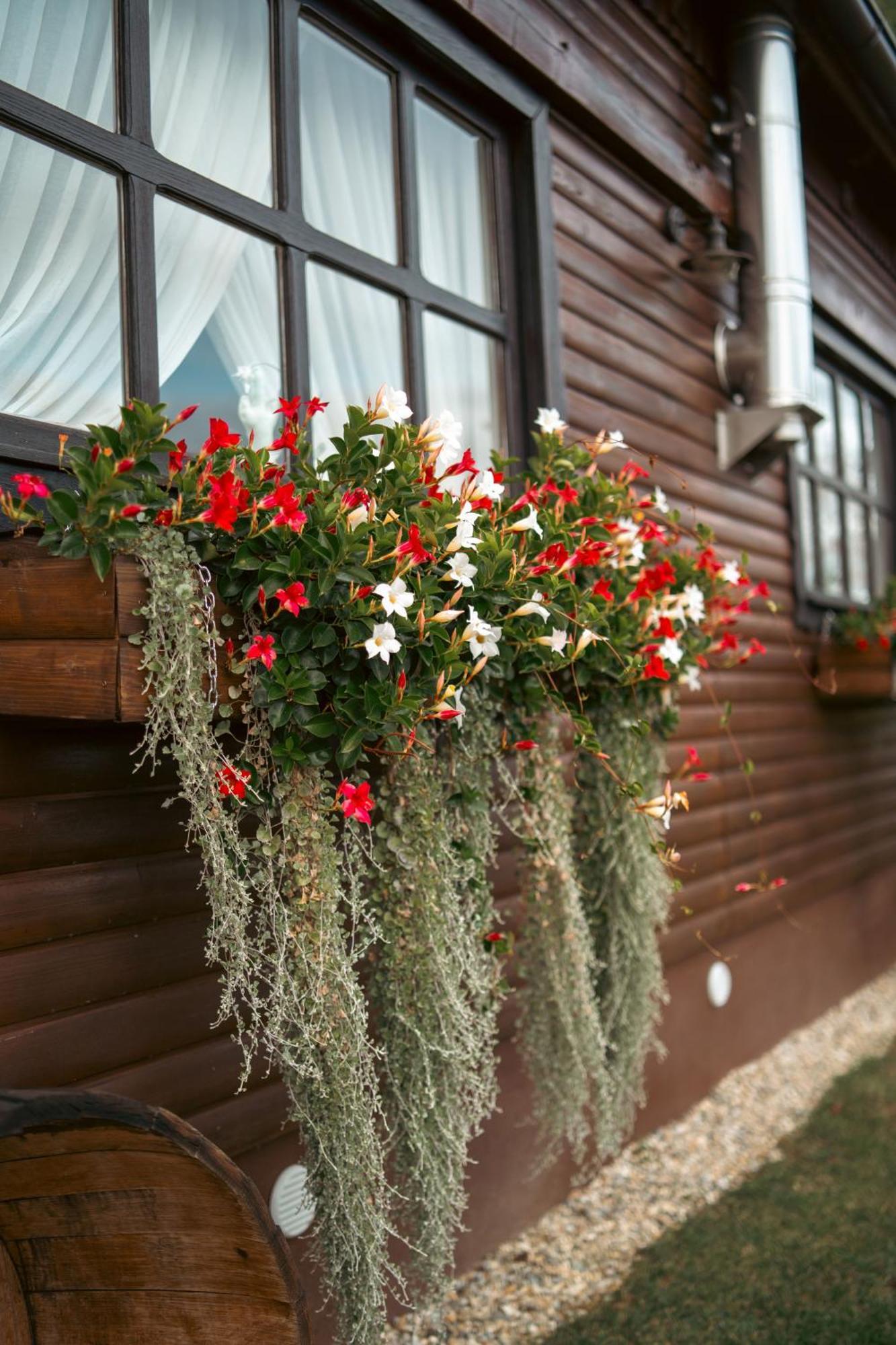 Holiday Home Hygge Nova Grabrovnik Extérieur photo